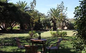 Eco Refugio El Arbol